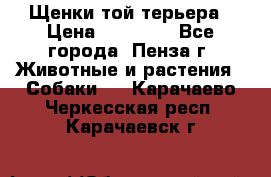 Щенки той терьера › Цена ­ 10 000 - Все города, Пенза г. Животные и растения » Собаки   . Карачаево-Черкесская респ.,Карачаевск г.